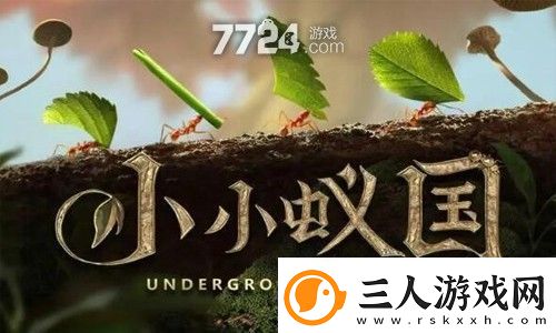 小小蚁国兑换码大全
