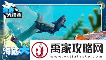 德军总部新秩序密码位置揭晓