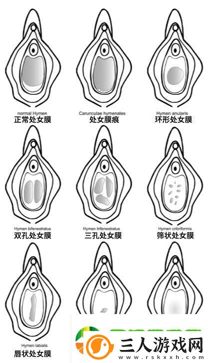 探索成长的旅程
