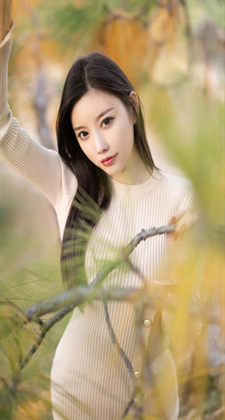 长途汽车上轮杆