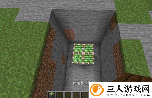 我的世界国际基岩版