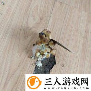 探讨“洞被弄大了过几天能变小吗”的科学与心理机制