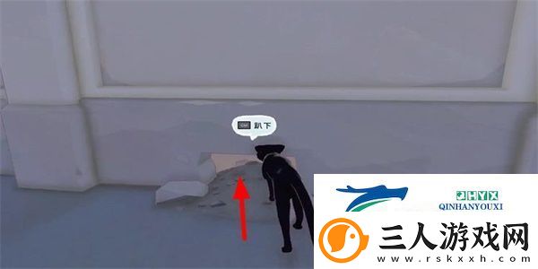 小猫咪大城市瓢虫帽怎么收集