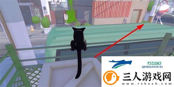 小猫咪大城市瓢虫帽怎么收集