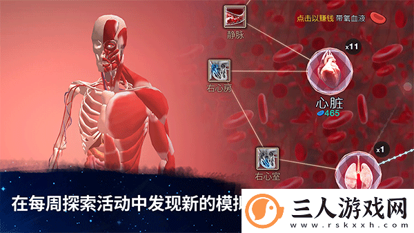 从细胞到奇点