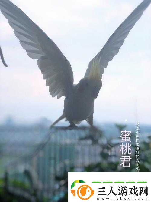 无一二三四蜜桃的奇妙之旅
