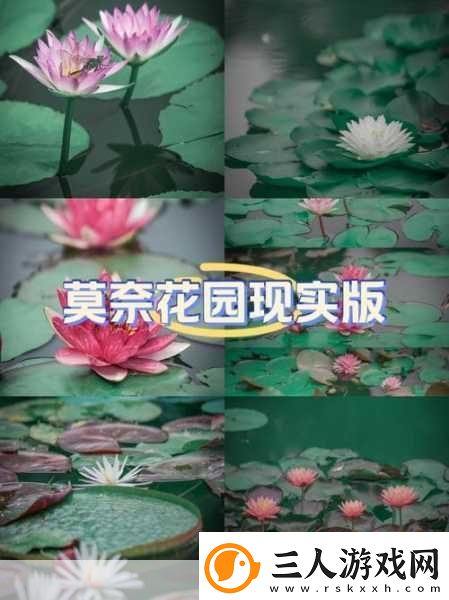 花园人生