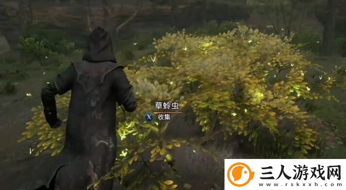 霍格沃兹之遗全材料怎么获得