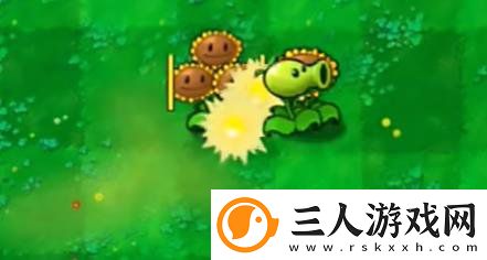 植物大战僵尸嫁接版