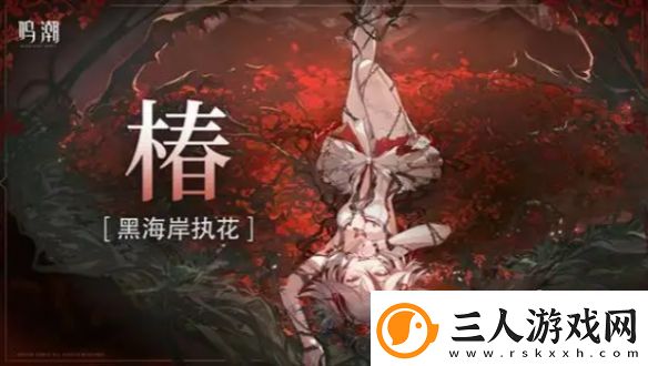 鸣潮洛可可怎么配队