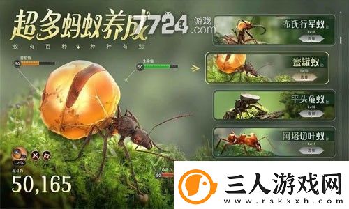 蚁族时代vip等级表