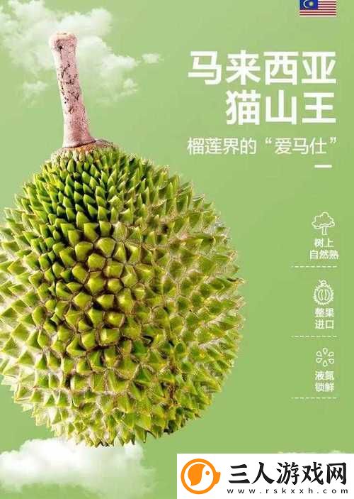 榴莲香蕉苹果哈密瓜水蜜桃的水果奇缘
