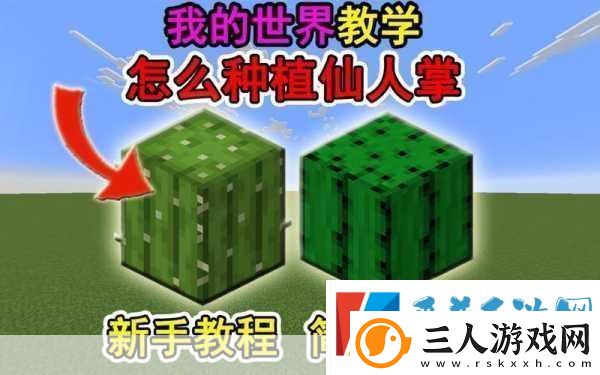 我的世界仙人掌