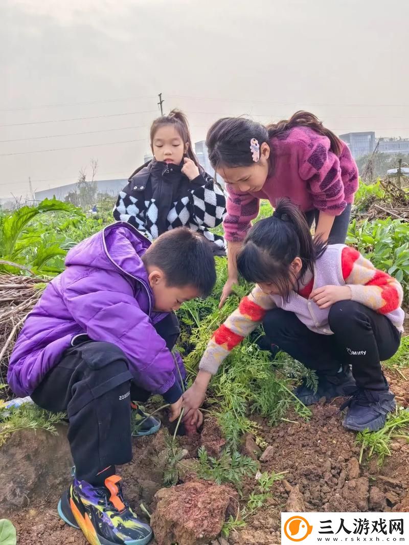 探索农田乐趣