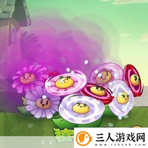 眩晕雏菊