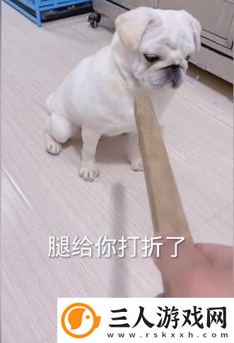 主人请好好疼爱