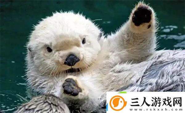 神奇海洋1月14日答案2025