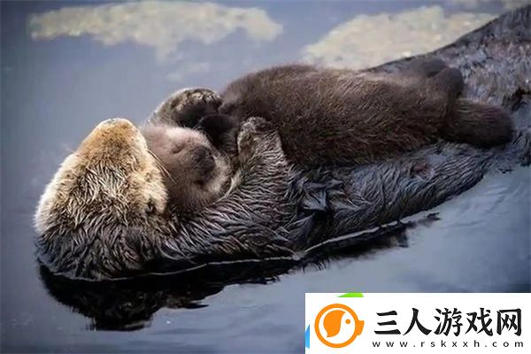 神奇海洋1月14日答案2025