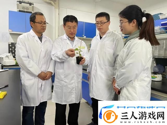 畜牧新篇