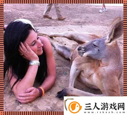“奇趣互动!高清时代的人物与动物‘吵架’日常