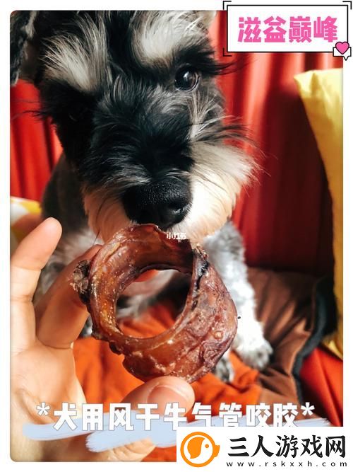 探索“美国人与动物胶配方大全图片”的独特魅力