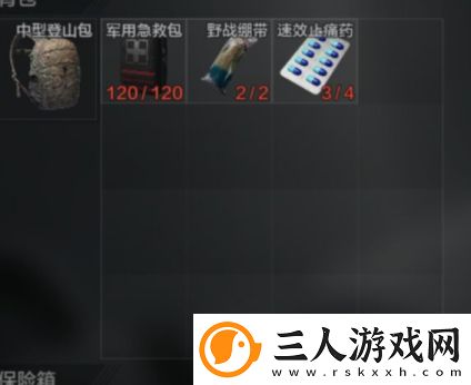 暗区突围进图带什么药品