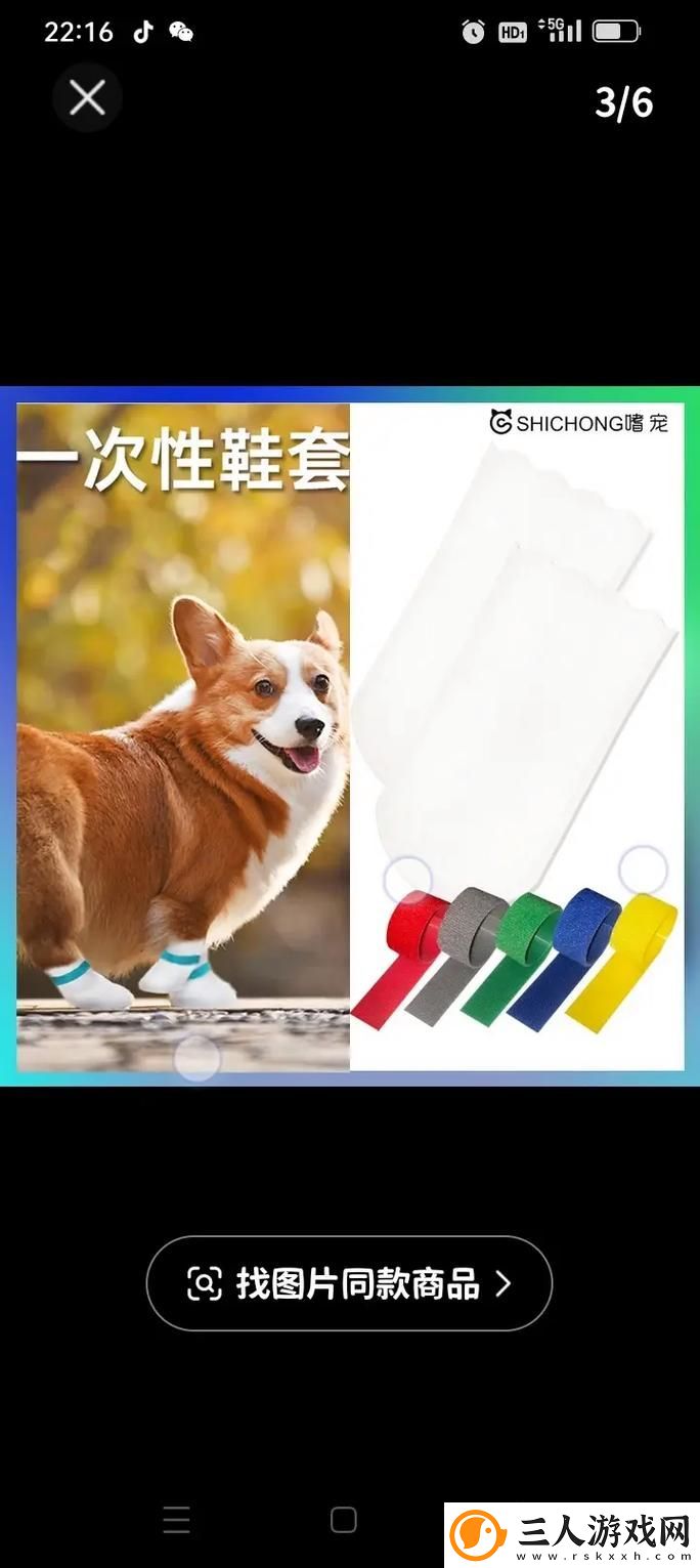 探索狗狗胶配合的神奇效果