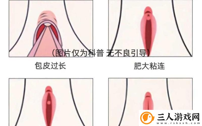 大BBBBB与小BBBBBB的区别最新动态