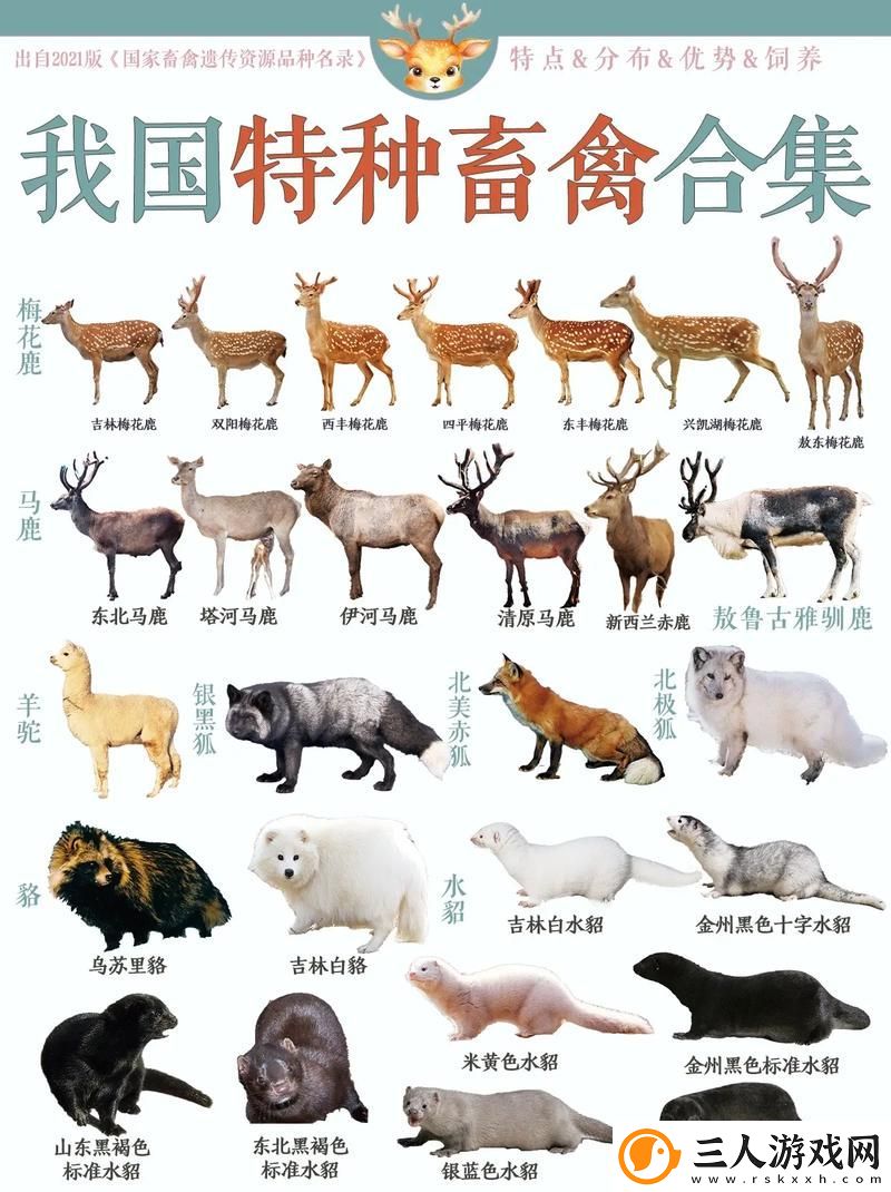 探索人与畜禽之间的奇妙联系——人物畜禽狗高清在线观看带你走进自然的世界