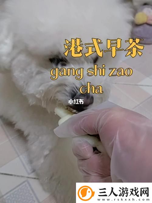 美国人与动物胶配方有几种读者