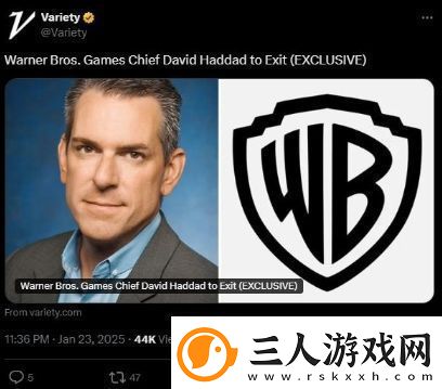 自杀小队惨败后
