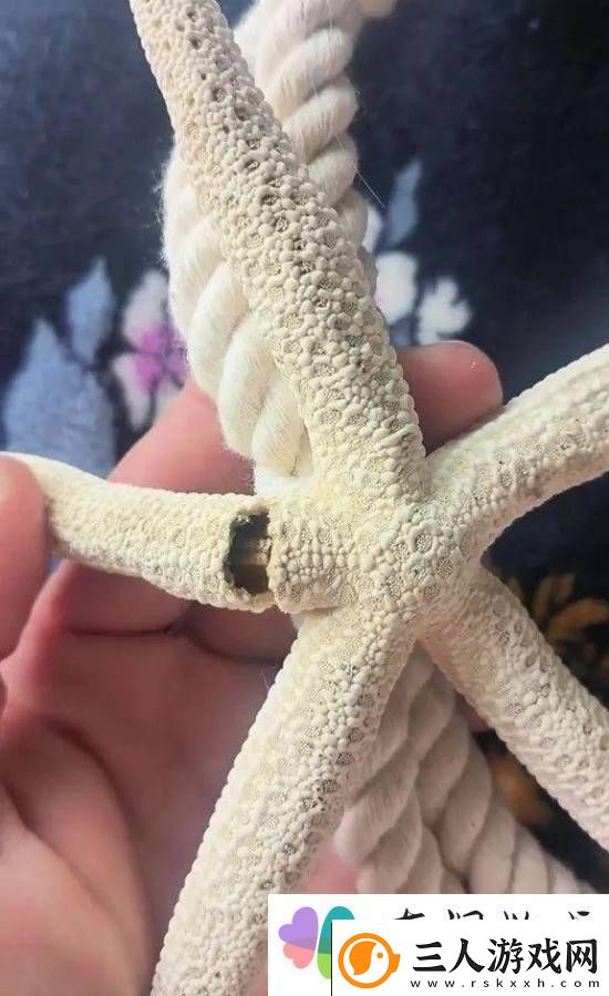 游你扯淡