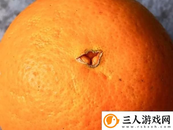 “橙子钻孔