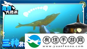 双人成行转盘怎么过掌握技巧轻松通过转盘关卡挑战更精彩！
