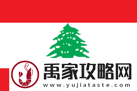 IEM卡托维兹