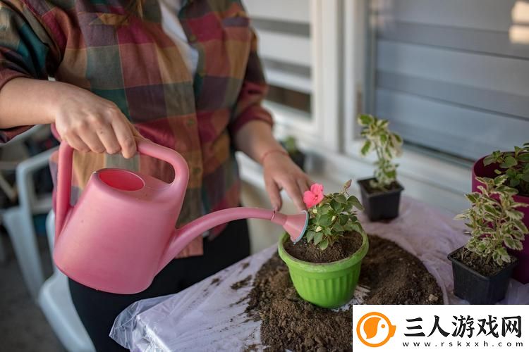 小白花浇灌日常