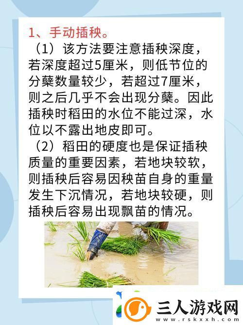 夫妻插秧38种方法图片