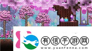 盐和避难所耐力提升的关键技巧及其在游戏中的重要性