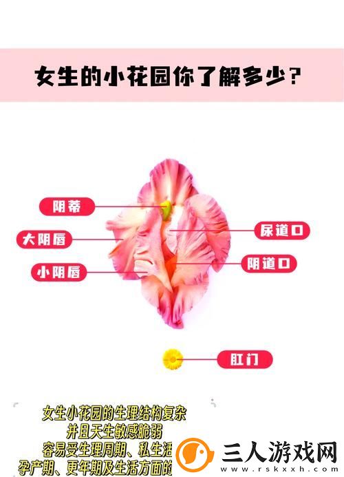 探秘“老公吃小花园的方法”