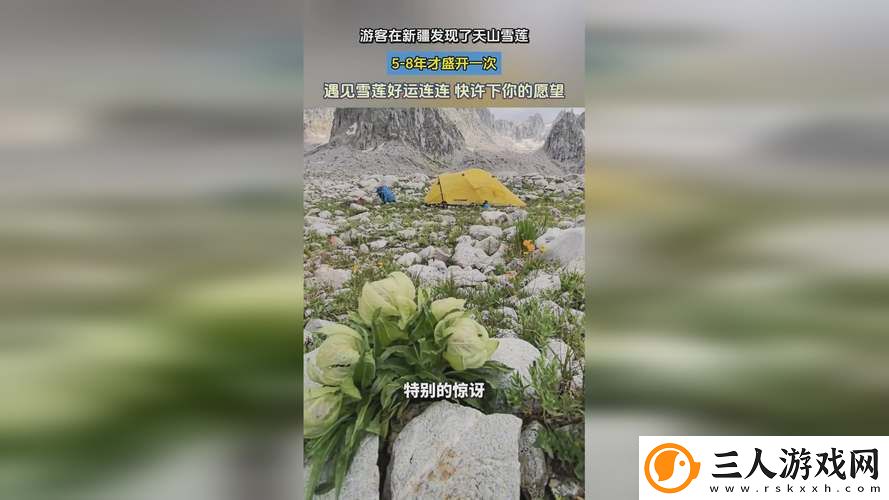 探索创意无限的理念——一起草www.17.c.com