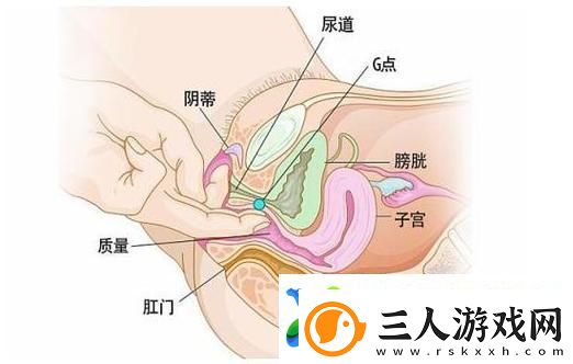 探索“大荫蒂bbbbbb大荫蒂”的独特魅力与文化内涵