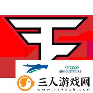 征战11年