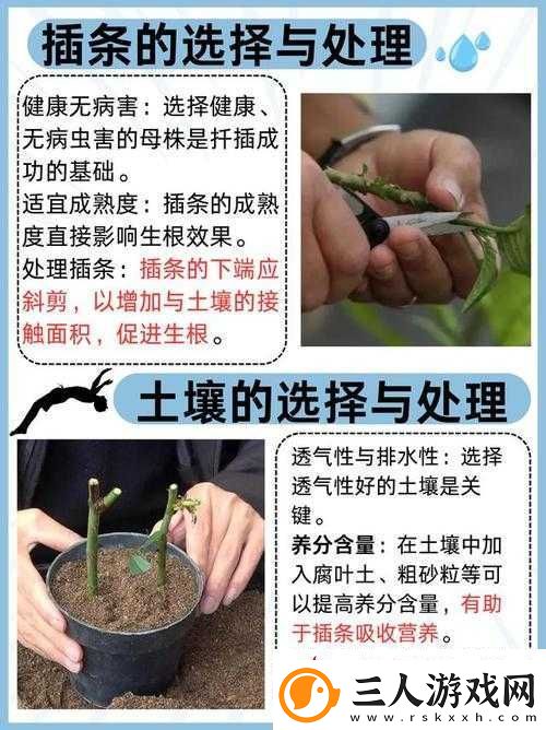 欧式