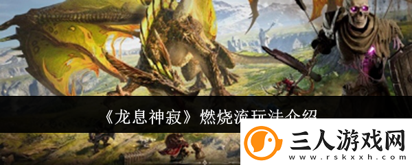 龙息神寂燃烧流玩法介绍