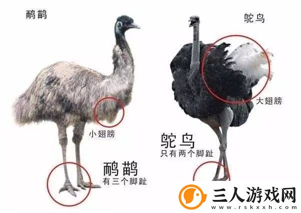 扌桑辶畐和畐畲的区别