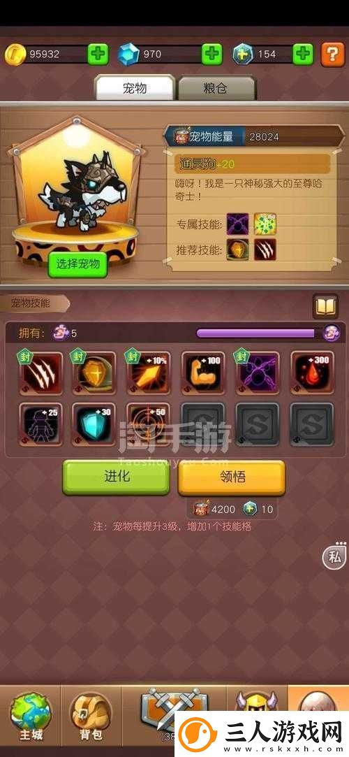 乱斗堂3新手攻略外套选择推荐、宠物搭配策略及资源管理艺术解析