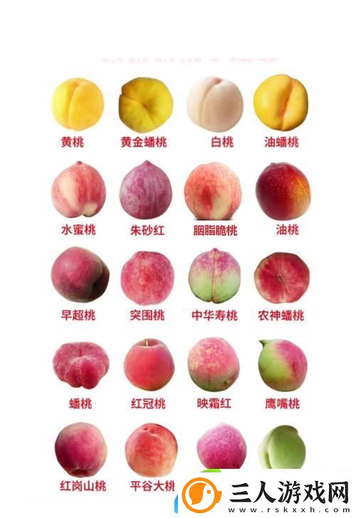 蜜桃产品一二三产区的独特魅力与经济潜力