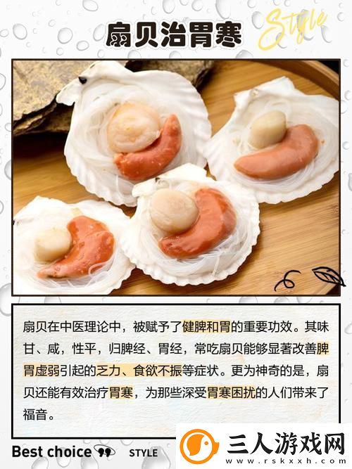 宝贝你的扇贝开了让我们一起探索海洋的美丽