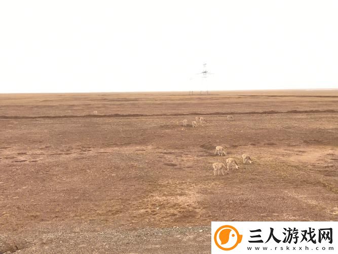 51无人区码一二三四区别图片上线