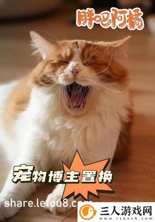 暗交小拗女一区二区三区